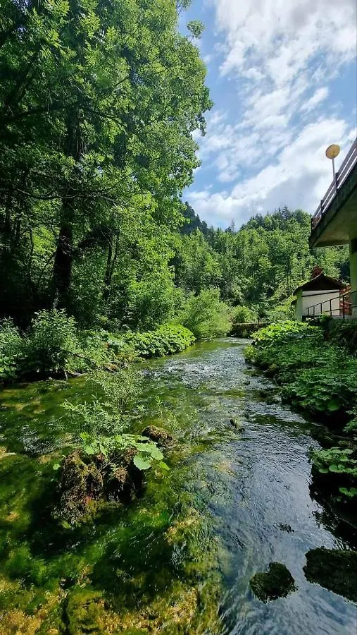Villa Izvor Cabranke Cabar