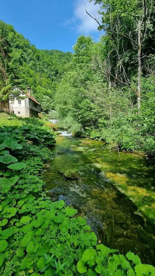 Villa Izvor Cabranke Cabar 0*,