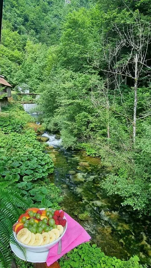 Villa Izvor Cabranke Cabar