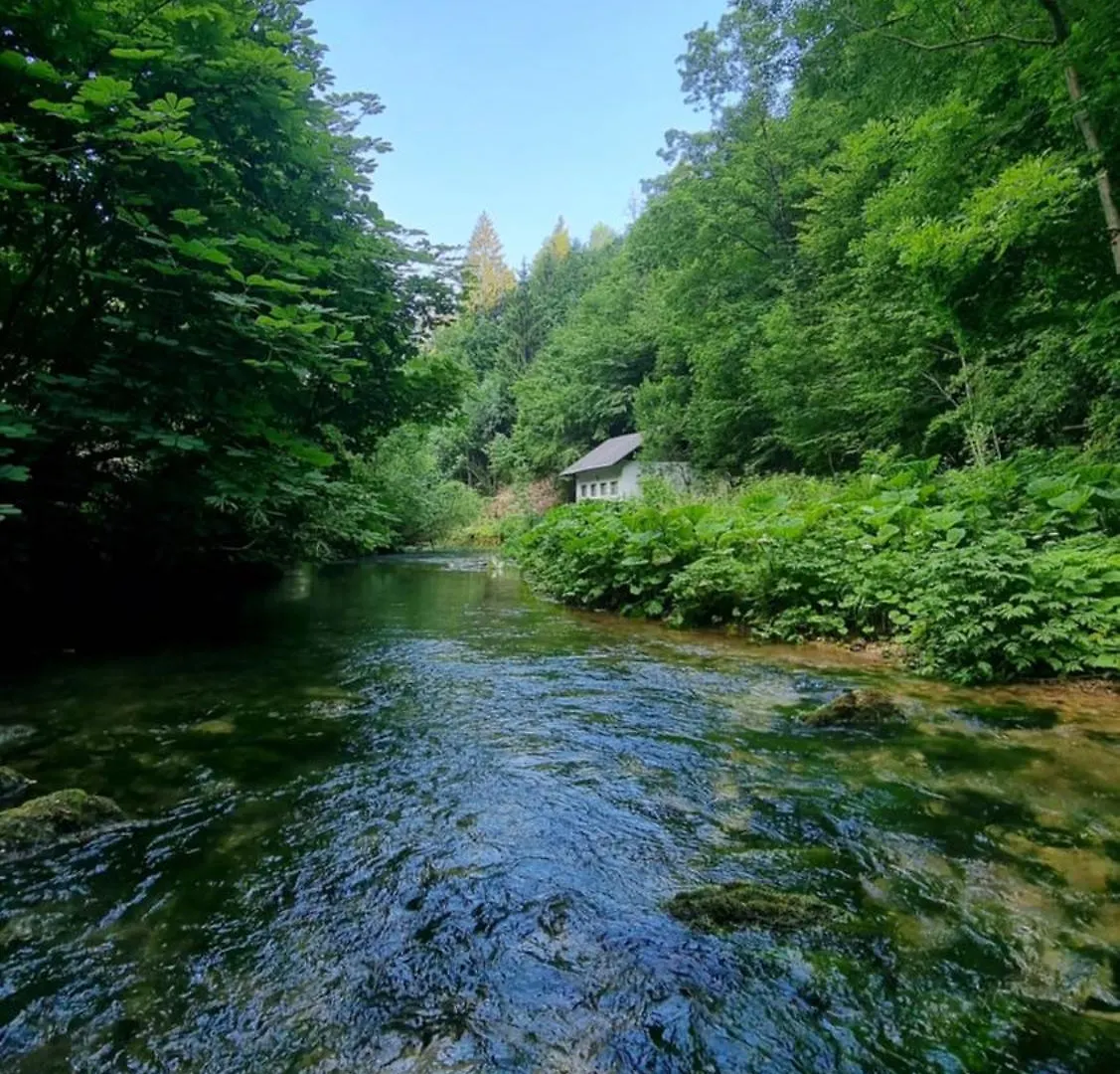 Villa Izvor Cabranke Cabar