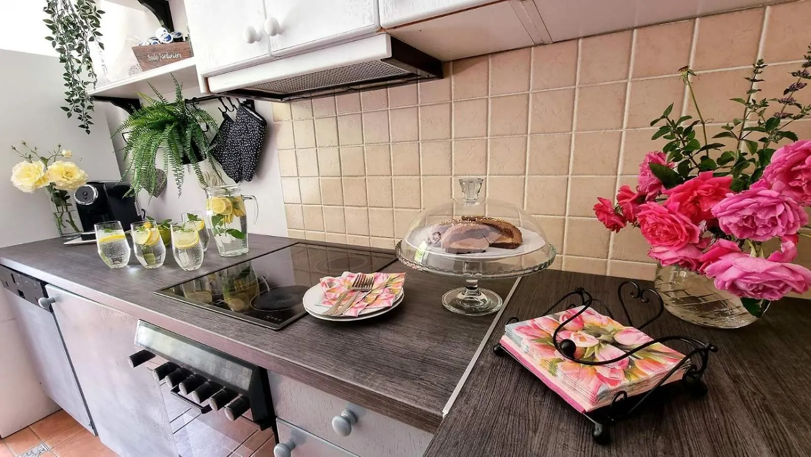 Villa Izvor Cabranke Cabar 0*,