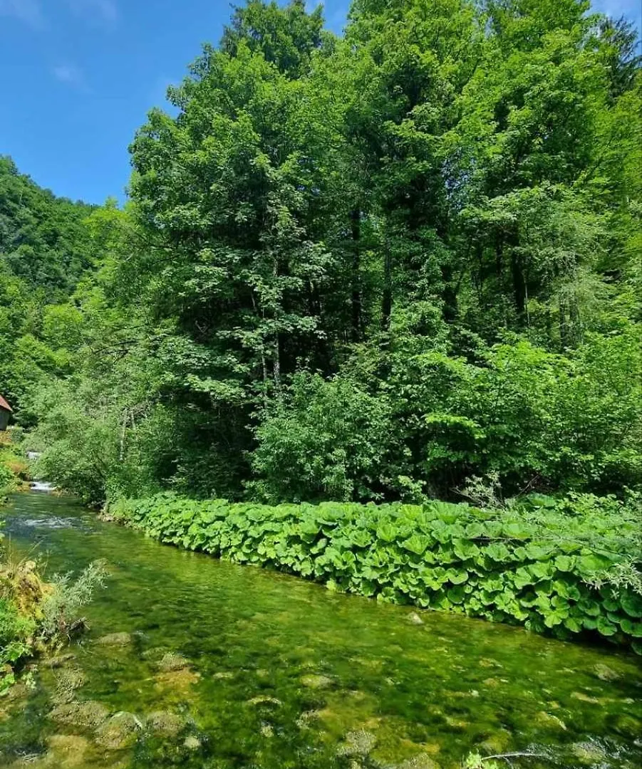 Villa Izvor Cabranke Cabar